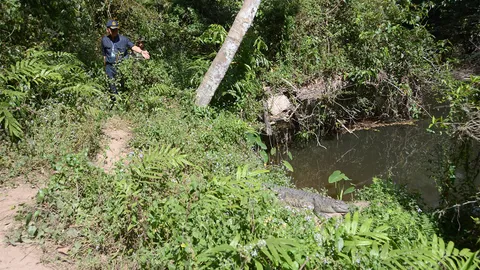 เขาใหญ่ จัด จนท.ดูแลหลังจระเข้กัด นทท. ยันมีป้ายเตือนทั้ง 2 ภาษา