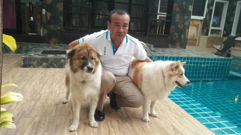 เจ้าตูบบางแก้วแสนรู้ เห่าหอนประสานเสียง ตามเพลงชาติทุกวัน (ชมคลิป) 