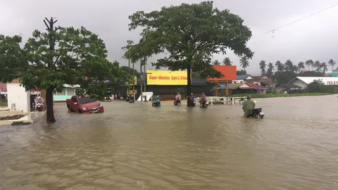 เกาะสมุย-กาญจนดิษฐ์ น้ำท่วมขังนาน ไก่เนื้อตายอื้อ สูญเงินกว่า 10 ล.