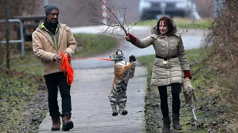 โลกาภิวัตน์ 13/01/60