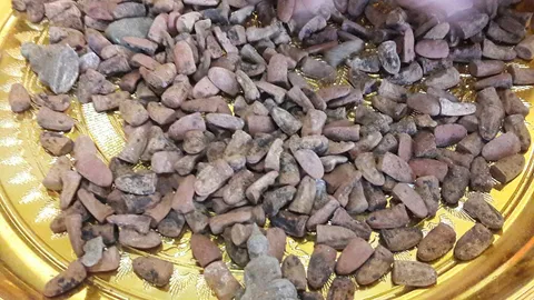 ขุดหาลูกนิมิต เจอกรุพระโบราณกว่าพันองค์ ใต้โบสถ์วัดที่ราชบุรี