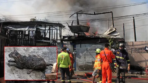 เพลิงพิโรธ