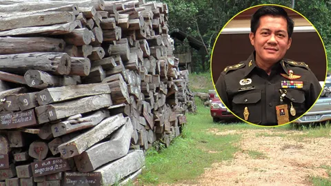 กอ.รมน.โชว์ผลงานจับผู้บุกรุกป่า 1.2 พันไร่ ตัดไม้หวงห้าม 40 ท่อน