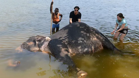 โลกาภิวัตน์ 23/01/60