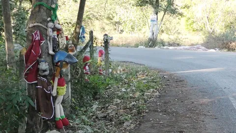 มีสะดุ้งถ้าถึงโค้ง! มือดีแขวนตุ๊กตาเก่าริมทาง ชาวบ้านขับผ่านผวา 24 ชม.