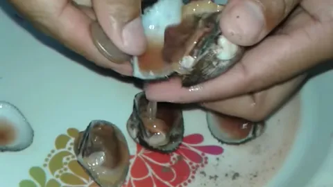 ครูสกลนคร เผยเทคนิควิธีแกะหอยแครง ง่ายนิดเดียวด้วยเหรียญ 5 บาท (ชมคลิป)
