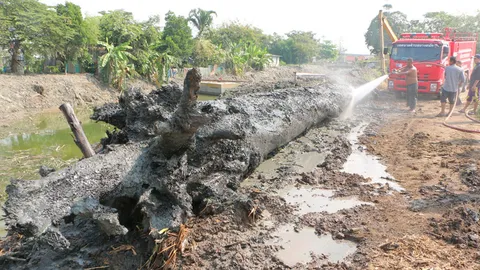 เจ้าของบ่อปลาบางปะกง จ้างรถน้ำทำความสะอาดตะเคียน 17 ม. พรุ่งนี้ทำพิธี