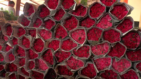 วาเลนไทน์นี้กุหลาบแพงแน่ เกษตรกรเผย ยอดจองซื้อสูง แต่เจอโรคระบาดหนัก