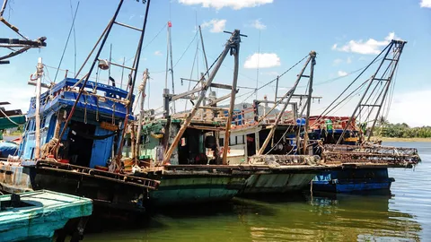 กรมประมงปิดอ่าวไทย 3 เดือน แจงข้อมูลผลผลิตปลาทูเพิ่มขึ้น