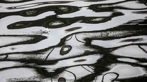 นางนวลในลายน้ำ