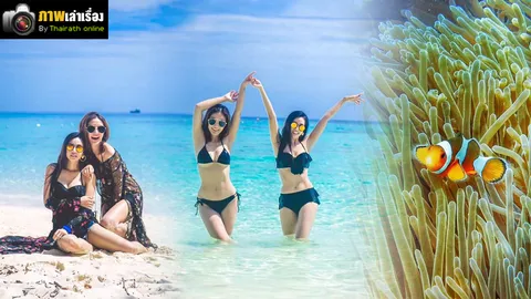 ทูพีช ทะเล ท้องฟ้า ปลานีโม่ 'ร่างกายต้องการทะเล'