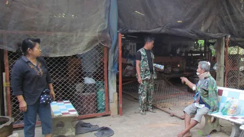 ช้างป่าเข้าบ้านคน ปู่วัย 84 ออกมาดูถูกทำร้ายเจ็บ คาดอาหารในป่าขาดแคลน