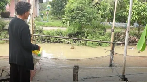 ผู้เลี้ยงปลากระชังร้องเยียวยาน้ำท่วม