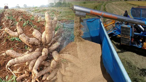 รัฐหนุนสินค้าเกษตรอินทรีย์ พาณิชย์ตั้งเป้าส่งออกทั่วโลก