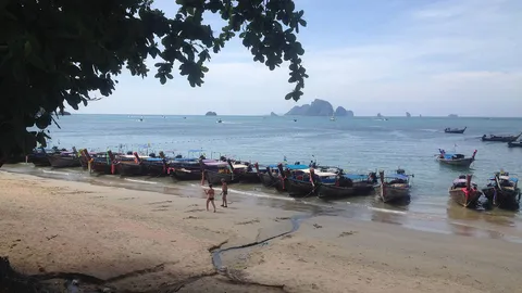 หน.อุทยานฯ พีพี ยันขอย้ายเพราะสุขภาพ ภาคท่องเที่ยวเสนอแก้ม็อบเรือ