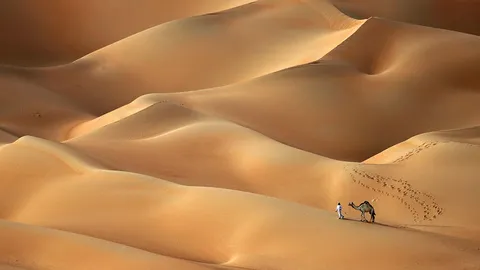 เวิ้งว้างกลางทะเลทราย