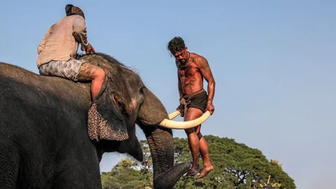 ‘เอ็กซ์-พรเลิศ’ เล่นจริงเจ็บตัว โชว์บู๊รบกับคน สู้กับ “ช้างพลาย”