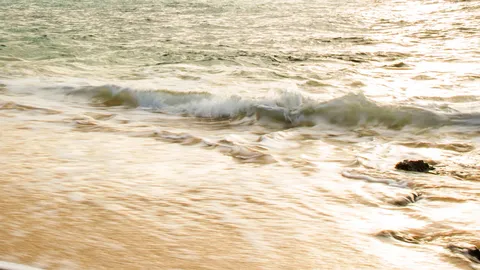 นายกเมืองพัทยา ตรวจคุณภาพนํ้า