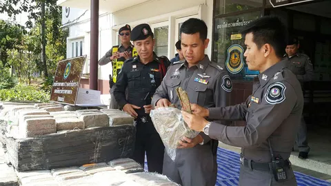 ทล.ขอนแก่นไล่จับแก๊งค้ายา ยึดกัญชาด้ายแดง 530 กก. ค่า 7ล.