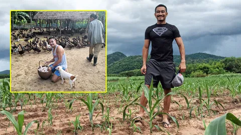 โปรแกรมเมอร์ ตามรอยพ่อ เลี้ยงเป็ดไก่ไข่ กำไรวันละพัน