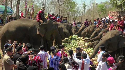 ขันโตกช้าง