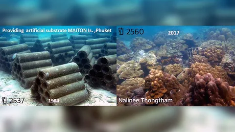 ดร.ธรณ์ โพสต์ความพยายาม 23 ปี ของ ดร.เนะ ฟื้นปะการังทะเลไทย ชวนปกป้อง