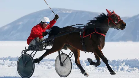 แข่งม้าในไซบีเรีย
