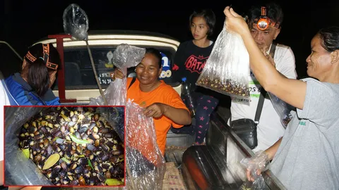 'แมงกีนูน' เต็มบึงกาฬ ชาวบ้านแห่จับทำเมนูเด็ด กินได้ทั้งครอบครัว