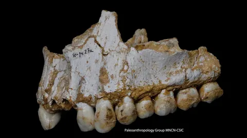 เปิดเมนูมนุษย์ถ้ำและการใช้ยาปฏิชีวนะโบราณ