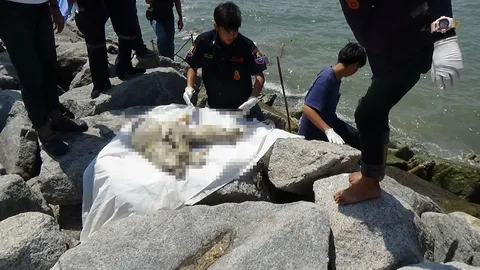 พบศพครึ่งท่อนติดซอกหินหาดแหลมเจริญ คาดเป็นลูกเรือประมง-ถูกฆ่าทิ้งทะเล