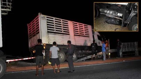 สลด! พ่วง 22 ล้อ พุ่งชนควายทะเลน้อยดับคาท้องรถ ก่อนไถลเสยคอกริมถนน