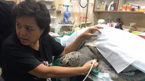 ยื้อไม่ไหว