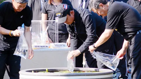 นายกฯ ร่วมกำจัดลูกน้ำยุงลายทำเนียบฯ บอก 'คนร้ายกว่ายุง' เพราะน่ารำคาญ 