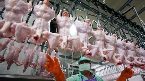 ไทยเฮ! ได้โอกาสขยายตลาด เกาหลีใต้เว้นภาษีนำเข้าไก่ เริ่มต้น เม.ย.