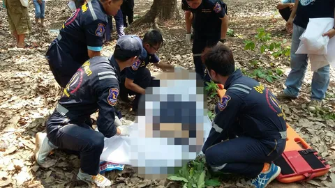 เซียนเก็บรังผึ้งถึงฆาต! พลัดตกต้นสะตอสูง 15 ม. ดับคาที่