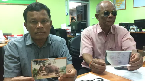 คดีช้างหาย! คนสุรินทร์ขอคืนพังโย พลัดพราก14 ปี-ปางช้างอ้างซื้อ1.4ล. 