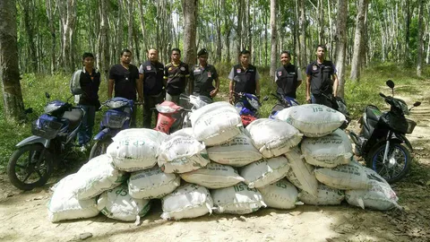 ตชด. บุกทลายแก๊งลอบขนใบกระท่อมรายใหญ่ ยึด 574 โล กองทัพมดหนีกระเจิง