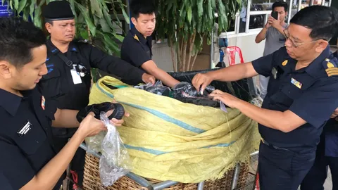 ยัดมากับปลาช่อน เขมรลอบขนอาดิดาสปลอม 180 คู่ ส่งพ่อค้าโรงเกลือ