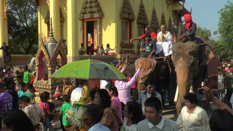 ตื่นตาตื่นใจ ช้างจากสุรินทร์นำขบวนแห่นาคที่ฉะเชิงเทรา (คลิป)
