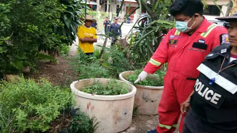 ตร.ซิวโจ๋17ไล่แทงกันดับ คางานบุญแห่ผ้าผะเหวด หนองบัวลำภู 