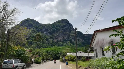 ได้ฝนตกมาช่วย ไฟป่าที่ไหม้เขาช้างพังงา ดับมอดแล้ว