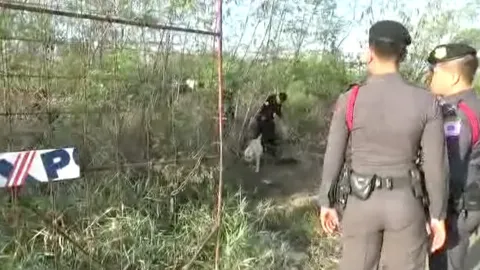 นำสุนัขดมกลิ่น ค้นแคมป์ย่านกาญจนาภิเษก ไม่พบกัญชาเพิ่ม ล่า 'บังหมัด'