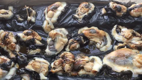 อุทยานฯพีพี ขู่เชือดนักล่าหอยมือเสือ ส่งขายคนจีนเชื่อเป็นยาโด๊ปชั้นดี(คลิป)