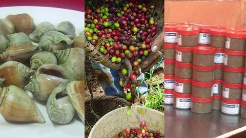 หนุน 'หอยชักตีน กาแฟคลองท่อม กะปิแหลมสัก' ขึ้นทะเบียนสินค้าจีไอ