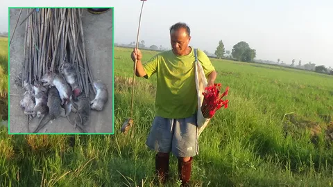 มีเท่าไหร่ก็ขายหมด! อดีต ขรก. จับหนูนาขาย สร้างรายได้เลี้ยงครอบครัว