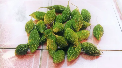 “มะระ​ขี้​นก” ควบคุม​เบาหวาน​ได้