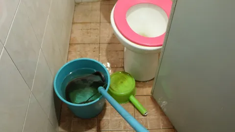 ขนลุก นึกว่างูเห่า! แต่เป็นงูแสงอาทิตย์ ห้องน้ำร้านค้า ฉะเชิงเทรา