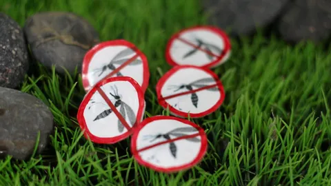 ม.อุบลเจ๋งคิดค้น "แผ่นแปะไล่ยุง”