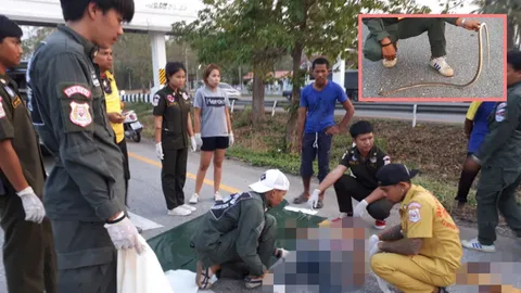 สิ้นเสาหลักครอบครัว! หนุ่มกำแพงเพชรหักหลบงู จยย.ชนกระบะตายพร้อมงู