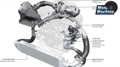 หอยพิษพาเพลิน!! เรื่องน่ารู้ของเทอร์โบ